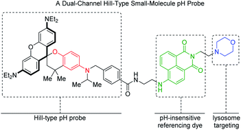 Graphical abstract: A dual-channel Hill-type small-molecule pH probe