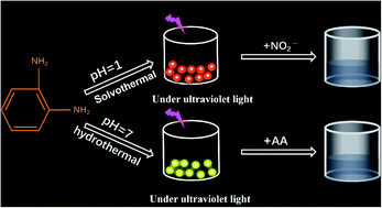 Graphical abstract: One-step hydrothermal synthesis of nitrogen-doped carbon dots for high-sensitivity visual detection of nitrite and ascorbic acid