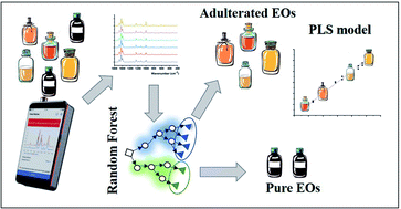 Graphical abstract: Smartphone-based handheld Raman spectrometer and machine learning for essential oil quality evaluation