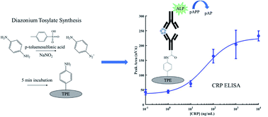 Graphical abstract: Synthesis and grafting of diazonium tosylates for thermoplastic electrode immunosensors