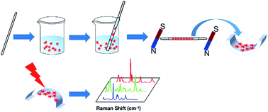 Graphical abstract: Magnetic field induced high-density SERS active assembly of Fe3O4@Au nanostars in a glass capillary for food colorant detection