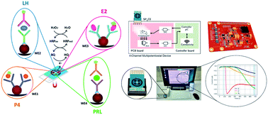 Graphical abstract: Simultaneous determination of four fertility-related hormones in saliva using disposable multiplexed immunoplatforms coupled to a custom-designed and field-portable potentiostat