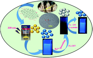 Graphical abstract: Biomass-derived carbon quantum dots: a novel and sustainable fluorescent “ON–OFF–ON” sensor for ferric ions