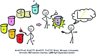 Graphical abstract: Genetic analysis with pyrosequencing using loop pipetting and a light dependent resistor