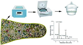 Graphical abstract: An optimised small-scale sample preparation workflow for historical dye analysis using UHPLC-PDA applied to Scottish and English Renaissance embroidery