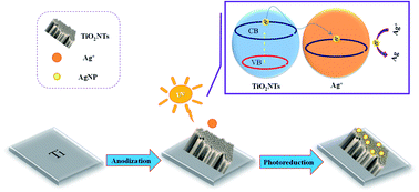Graphical abstract: Decoration of titanium dioxide nanotubes with silver nanoparticles using the photochemical deposition method and their application as an electrocatalyst to determine tinidazole