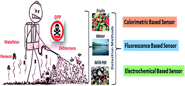 Graphical abstract: Recent advancements in the detection of organophosphate pesticides: a review