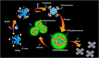 Graphical abstract: NaCl nanocrystal-encapsulated carbon dots as a solution-based sensor for phosphorescent sensing of trace amounts of water in organic solvents