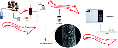 Graphical abstract: Development of a bimetal–organic framework–polypyrrole composite as a novel fiber coating for direct immersion solid phase microextraction in situ supercritical fluid extraction coupled with gas chromatography for simultaneous determination of furfurals in dates