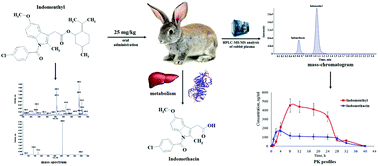 Graphical abstract: Quantitative determination of new anti-inflammatory drug indomenthyl and its metabolite in rabbit plasma by HPLC-MS/MS