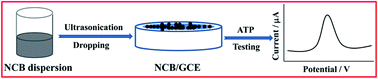 Graphical abstract: Simple, low-cost and sensitive electrochemical sensing of antineoplastic drug amethopterin based on a nanocarbon black modified electrode