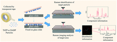 Graphical abstract: In situ identification of TATP and DADP particles collected with transparent tape by Raman spectroscopy and imaging