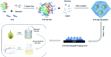 Graphical abstract: Biomimetic self-assembly of lipase-zeolitic imidazolate frameworks with enhanced biosensing of protox inhibiting herbicides