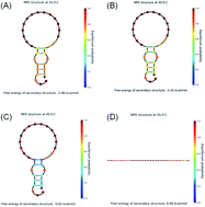 Graphical abstract: Developing a three-input cascade DNA logic gate based on the biological characteristics of metal ion–GO, combined with analysis and verification