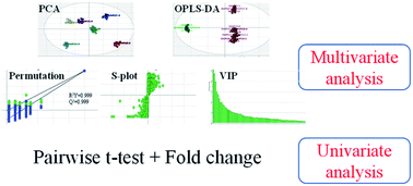 Graphical abstract: Metabolomics-based screening analysis of PPCPs in water pretreated with five different SPE columns