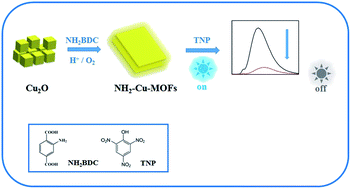 Graphical abstract: Amino-functionalized Cu metal–organic framework nanosheets as fluorescent probes for detecting TNP