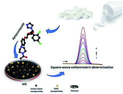 Graphical abstract: A voltammetric sensor based on a carbon black and chitosan-stabilized gold nanoparticle nanocomposite for ketoconazole determination