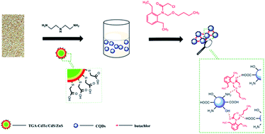 Graphical abstract: Highly sensitive and selective detection of butachlor based on the resonance light scattering of doped carbon quantum dots