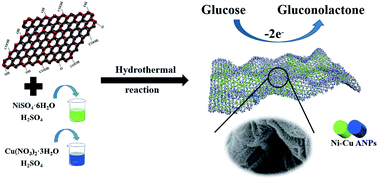 Graphical abstract: Non-enzymatic electrochemical detection of glucose using Ni–Cu bimetallic alloy nanoparticles loaded on reduced graphene oxide through a one-step synthesis strategy
