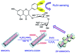 Graphical abstract: A facile fabrication of a hierarchical ZIF-8/MWCNT nanocomposite for the sensitive determination of rutin