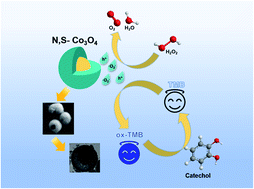 Graphical abstract: N,S co-doped Co3O4 core–shell nanospheres with high peroxidase activity for the fast colorimetric detection of catechol
