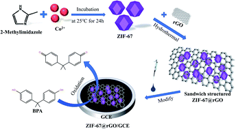 Graphical abstract: An electrochemical sensor based on a glassy carbon electrode modified with sandwich structured ZIF-67@rGO for bisphenol A measurement