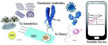 Graphical abstract: Applications of electrochemical biosensors based on functional antibody-modified screen-printed electrodes: a review