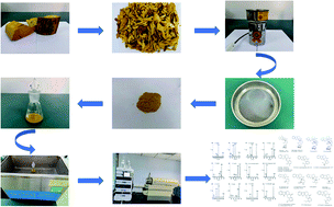 Graphical abstract: The rapid profiling and simultaneous determination of 12 major alkaloids in Nauclea officinalis by UPLC-Q-TOF-MS and HPLC-ESI-MS/MS