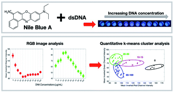 Graphical abstract: Rapid, instrument-free colorimetric quantification of DNA using Nile Blue