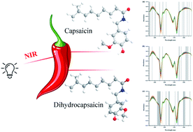 Graphical abstract: Non-destructive prediction of the hotness of fresh pepper with a single scan using portable near infrared spectroscopy and a variable selection strategy