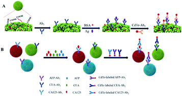Graphical abstract: Photonic crystal barcodes assembled from dendritic silica nanoparticles for the multiplex immunoassays of ovarian cancer biomarkers