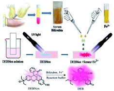Graphical abstract: A deoxygenation-switch-based red-emitting fluorogenic light-up probe for the detection of highly toxic free bilirubin in human blood serum