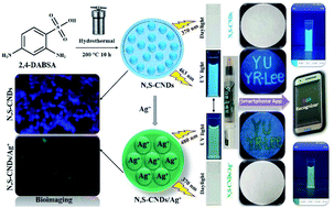 Graphical abstract: Rapid detection of silver ions based on luminescent carbon nanodots for multicolor patterning, smartphone sensors, and bioimaging applications