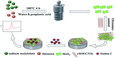 Graphical abstract: A simple sensing platform based on a 1T@2H-MoS2/cMWCNTs composite modified electrode for ultrasensitive detection of illegal Sudan I dye in food samples