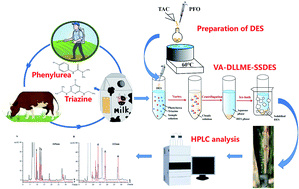 Graphical abstract: Vortex-assisted dispersive liquid–liquid microextraction based on the solidification of sedimentary deep eutectic solvents for the determination of triazine and phenylurea herbicides in milk samples