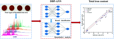 Graphical abstract: Accuracy improvement on quantitative analysis of the total iron content in branded iron ores by laser-induced breakdown spectroscopy combined with the double back propagation artificial neural network