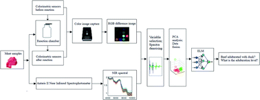 Graphical abstract: Fusion of a low-cost electronic nose and Fourier transform near-infrared spectroscopy for qualitative and quantitative detection of beef adulterated with duck