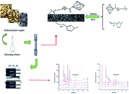 Graphical abstract: Preparation of poly(ionic liquid@MOF) composite monolithic column and its application in the online enrichment and purification of tectochrysin in medicinal plants