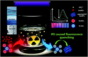 Graphical abstract: An inner-filter-effect based ratiometric fluorescent sensor for the detection of uranyl ions in real samples