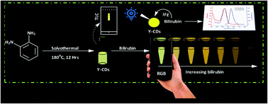 Graphical abstract: Smartphone-based fluorescence detection of bilirubin using yellow emissive carbon dots
