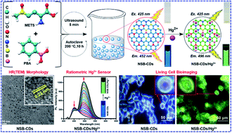 Graphical abstract: Multiple heteroatom-doped photoluminescent carbon dots for ratiometric detection of Hg2+ ions in cell imaging and environmental applications