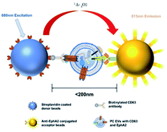 Graphical abstract: Detection of serum EphA2-EVs for pancreatic cancer diagnosis by light initiated chemiluminescent assay