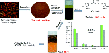 Graphical abstract: Extraction of curcumin from turmeric residue (Curcuma longa L.) using deep eutectic solvents and surfactant solvents