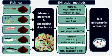Graphical abstract: Assessing the effectiveness of microplastic extraction methods on fishmeal with different properties