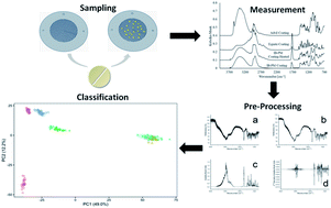 Graphical abstract: Discrimination of commercial ibuprofen tablets by using a button sample holder and mid-infrared spectroscopy