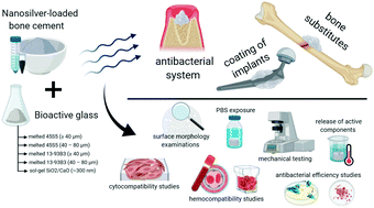 Graphical abstract: Nanosilver-loaded PMMA bone cement doped with different bioactive glasses – evaluation of cytocompatibility, antibacterial activity, and mechanical properties