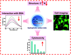 Graphical abstract: Precise regulation of the properties of hydrophobic carbon dots by manipulating the structural features of precursor ionic liquids