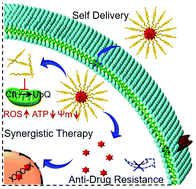 Graphical abstract: Self-delivery nanomedicine to overcome drug resistance for synergistic chemotherapy