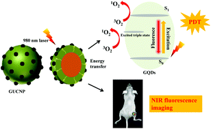 Graphical abstract: Energy transfer facilitated near infrared fluorescence imaging and photodynamic therapy of tumors