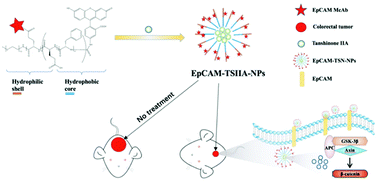 Graphical abstract: PEG-poly(amino acid)s/EpCAM aptamer multifunctional nanoparticles arrest the growth and metastasis of colorectal cancer
